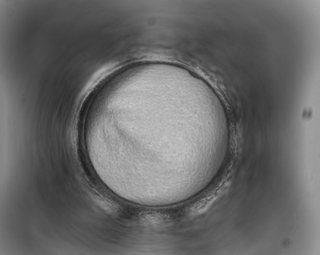 X0000098210199200805151301
