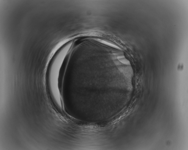 X0000098210200200805151301