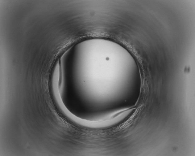 X0000098210201200805151301