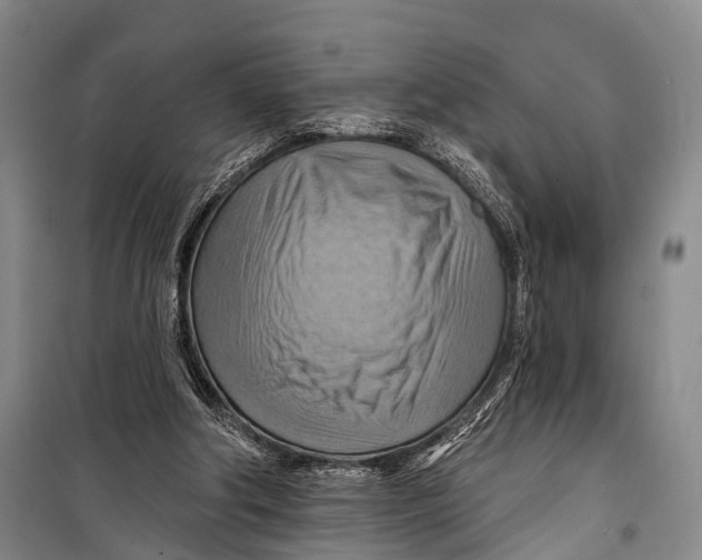 X0000098210202200805151301