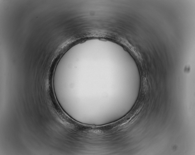 X0000098210203200805151301