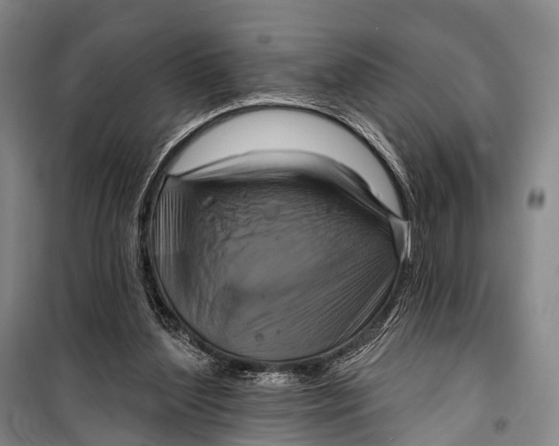X0000098210204200805151301