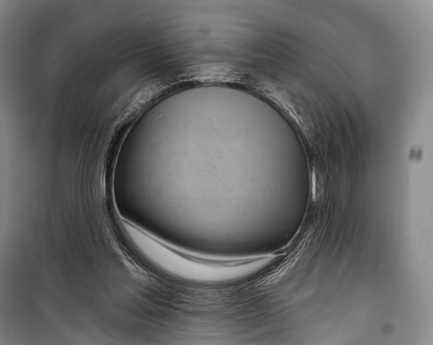 X0000098210205200805151301