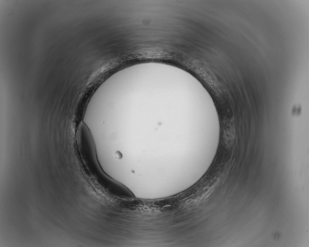 X0000098210207200805151301