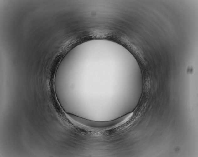 X0000098210209200805151301