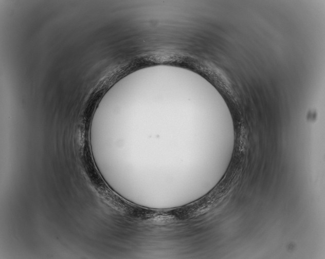 X0000098210210200805151301
