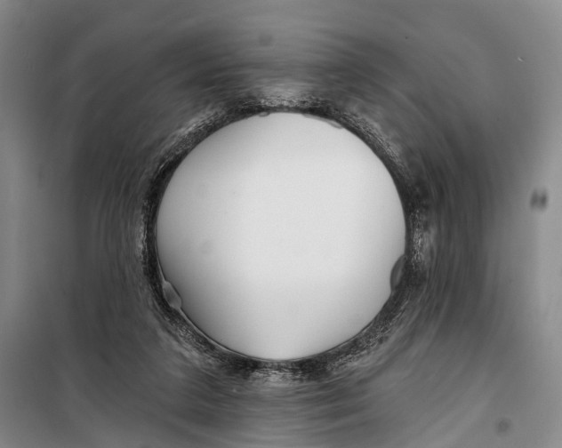 X0000098210211200805151301