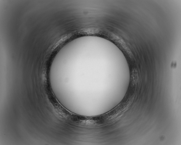 X0000098210212200805151301