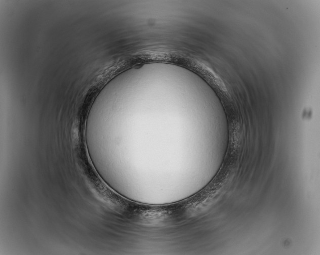 X0000098210213200805151301