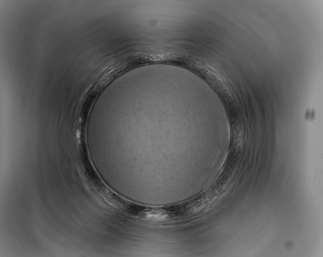 X0000098210214200805151301