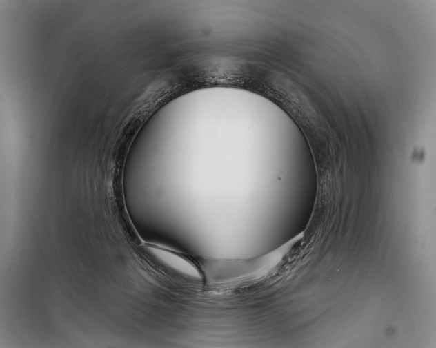 X0000098210217200805151301