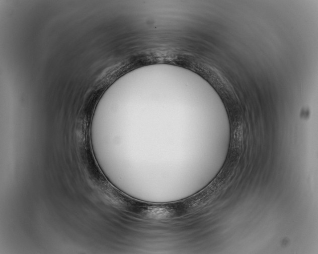 X0000098210218200805151301