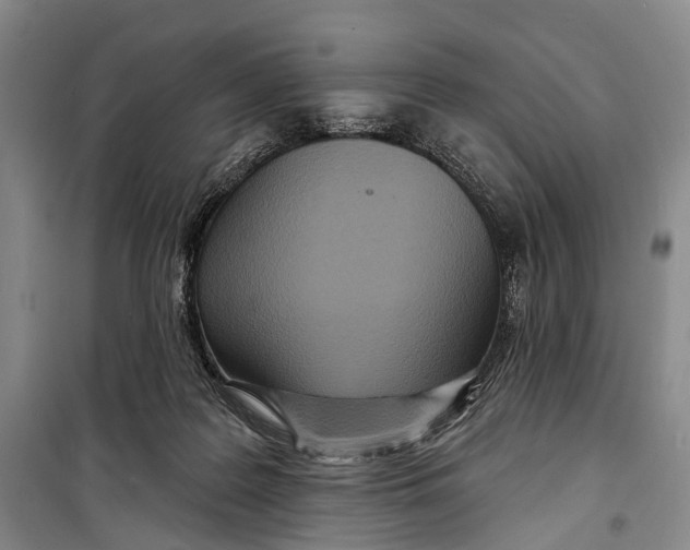 X0000098210219200805151301