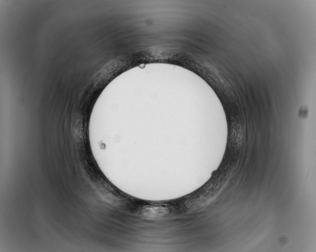 X0000098210220200805151301