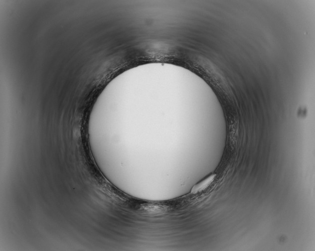 X0000098210221200805151301