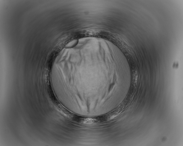 X0000098210222200805151301
