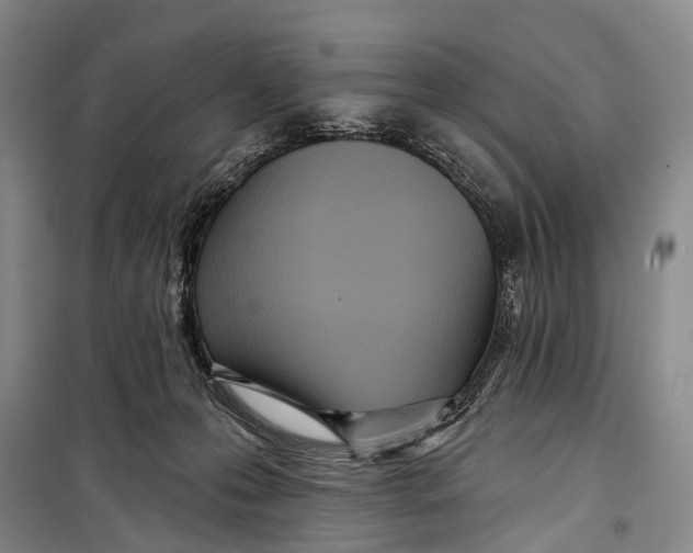 X0000098210223200805151301