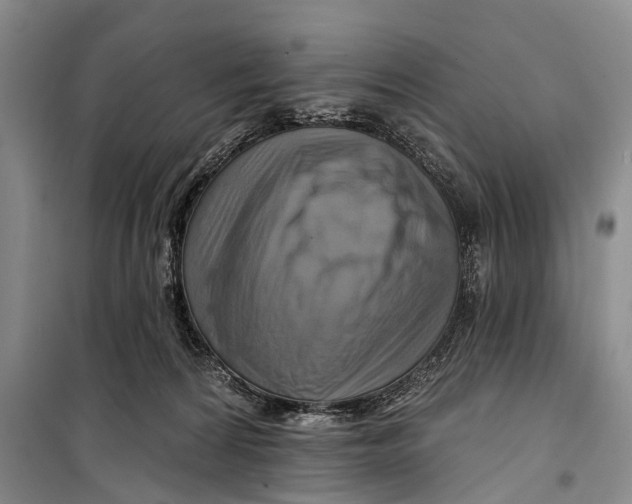 X0000098210224200805151301