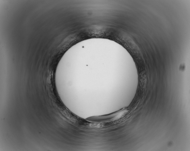 X0000098210225200805151301