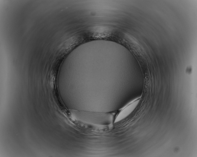 X0000098210227200805151300
