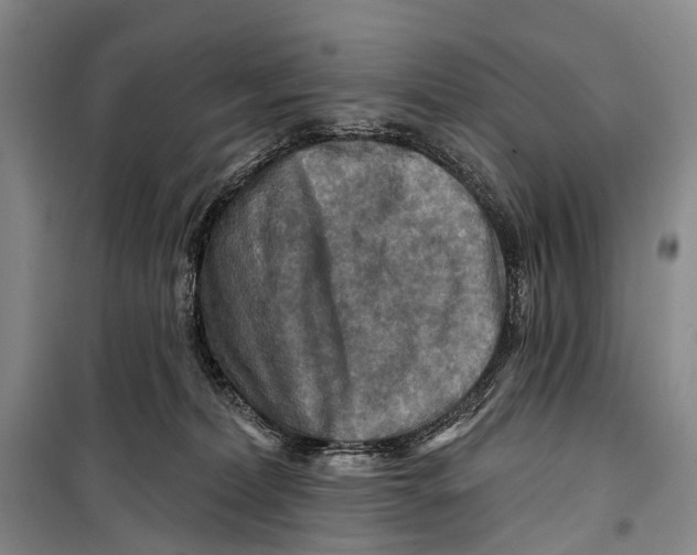 X0000098210228200805151300