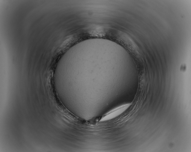 X0000098210229200805151300