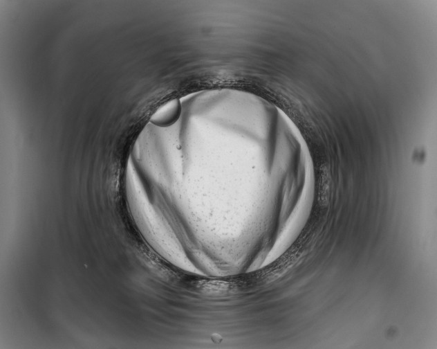 X0000098210230200805151300