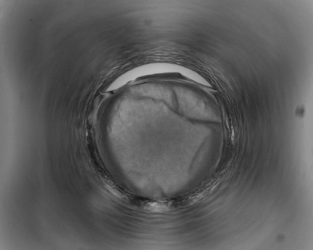 X0000098210232200805151300