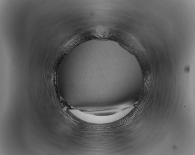 X0000098210233200805151300
