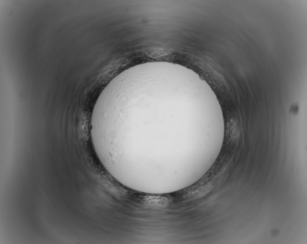 X0000098210234200805151300