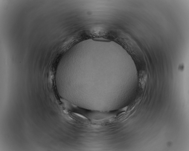 X0000098210235200805151300