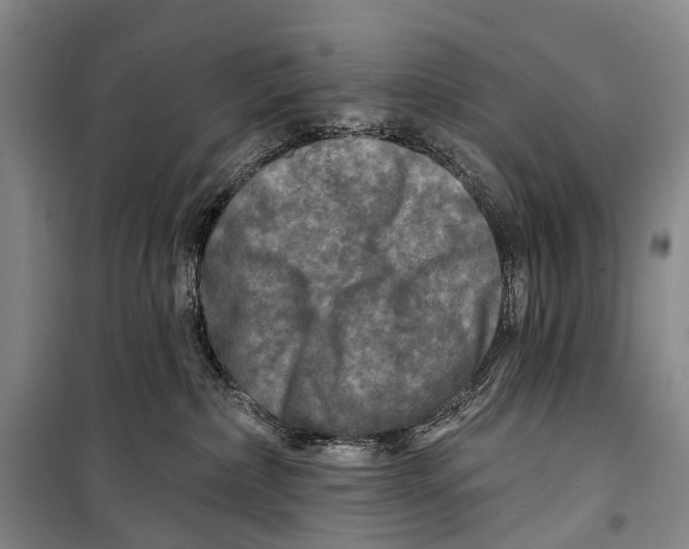 X0000098210236200805151300