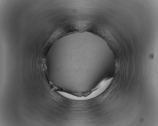 X0000098210237200805151300