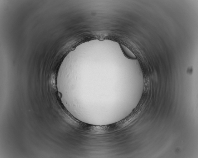 X0000098210238200805151300