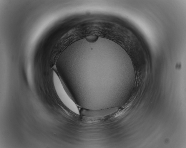 X0000098210239200805151300