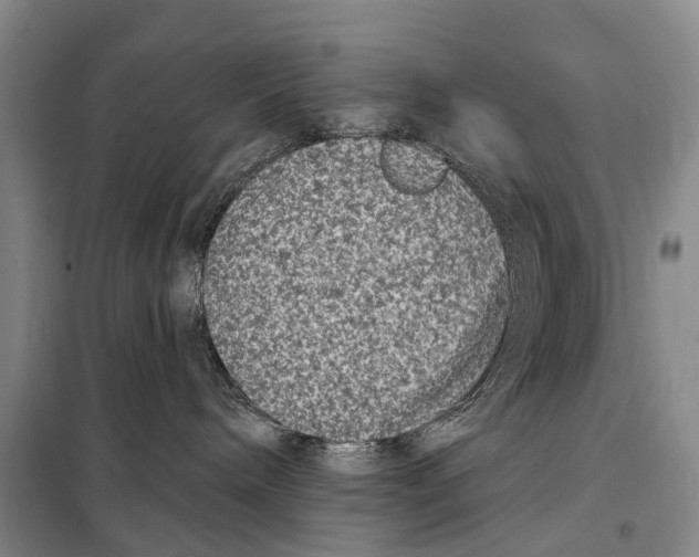 X0000098210240200805151300