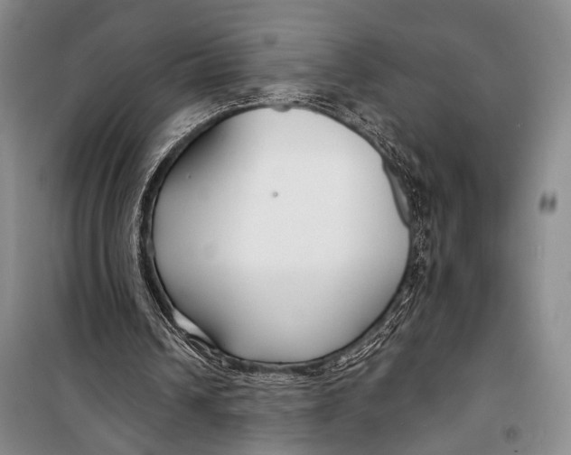X0000098210242200805151300