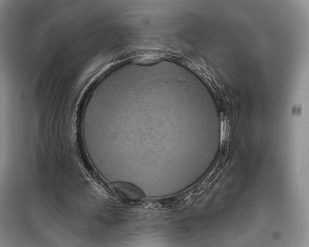 X0000098210243200805151300