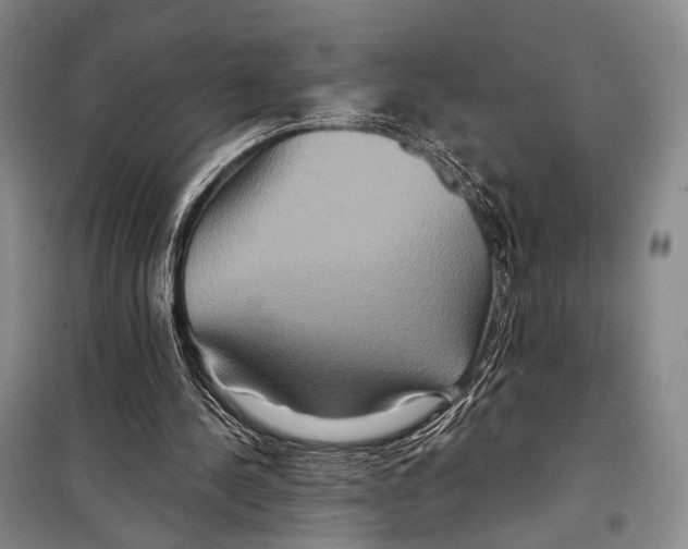 X0000098210244200805151300