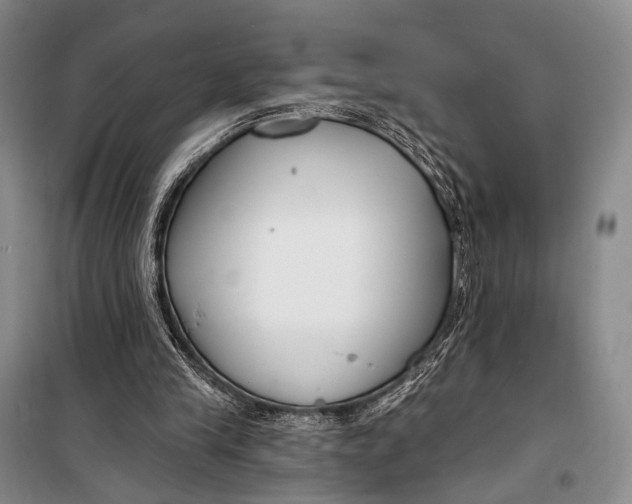 X0000098210245200805151300