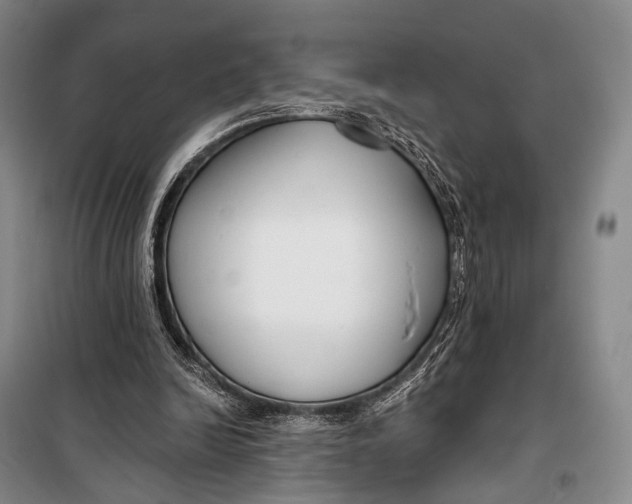 X0000098210246200805151300