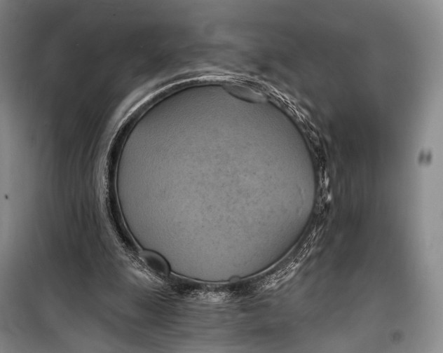 X0000098210247200805151300