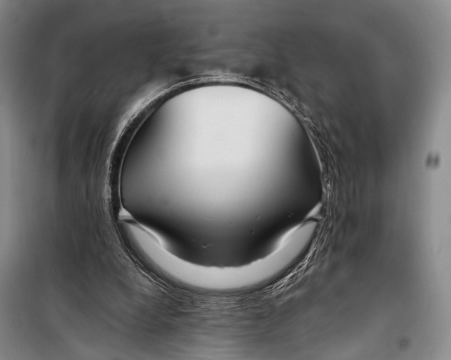 X0000098210248200805151300
