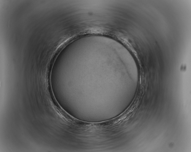 X0000098210249200805151300