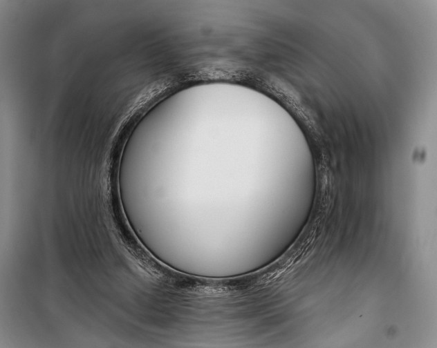 X0000098210250200805151300