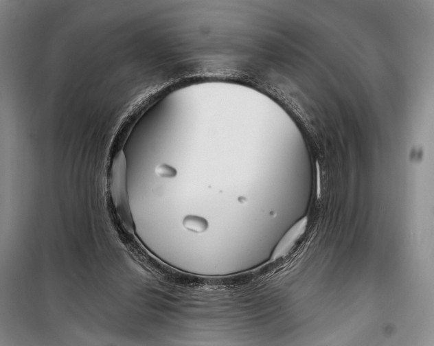 X0000098210252200805151300