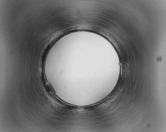 X0000098210253200805151300