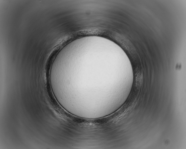 X0000098210254200805151300