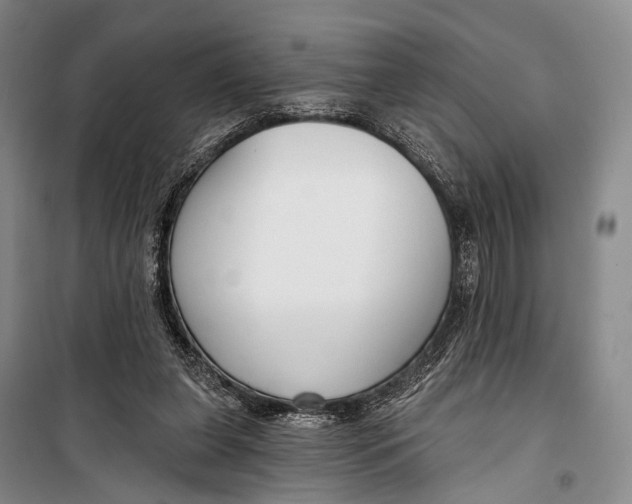 X0000098210255200805151300