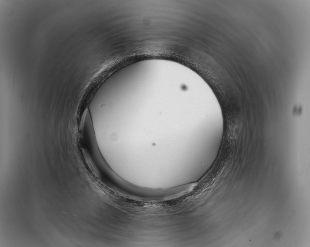 X0000098210256200805151300
